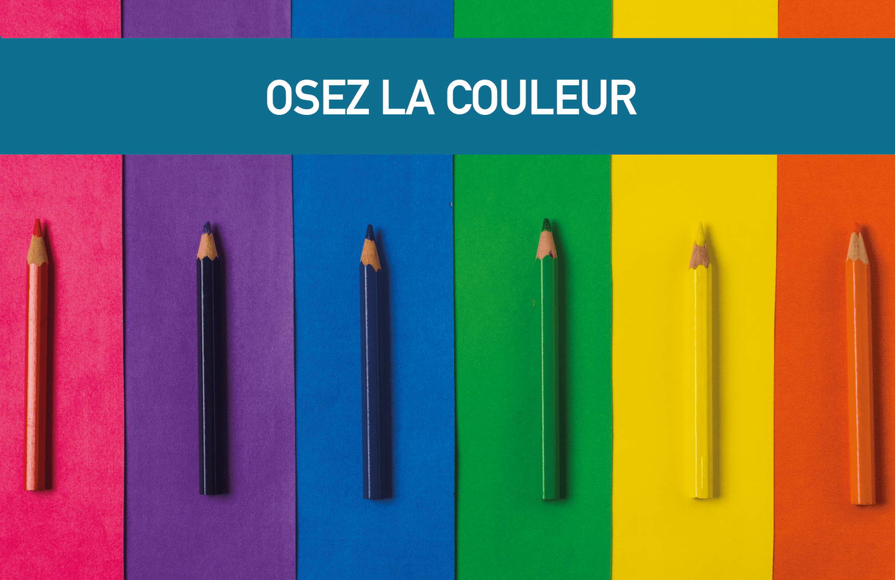 Osez la Couleur : Transformez Votre Maison avec GIB Construction