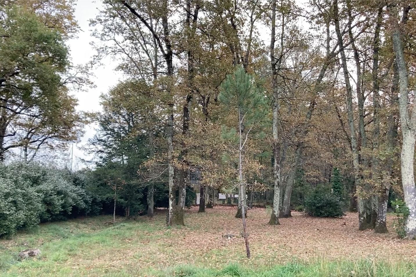 Terrain à bâtir de 503 m² à LE TAILLAN-MEDOC (33)