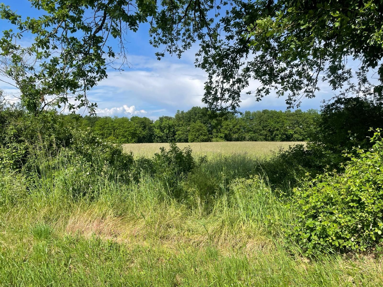 Terrain à bâtir de 1002 m² à LE VERDON-SUR-MER (33) - visuel 1