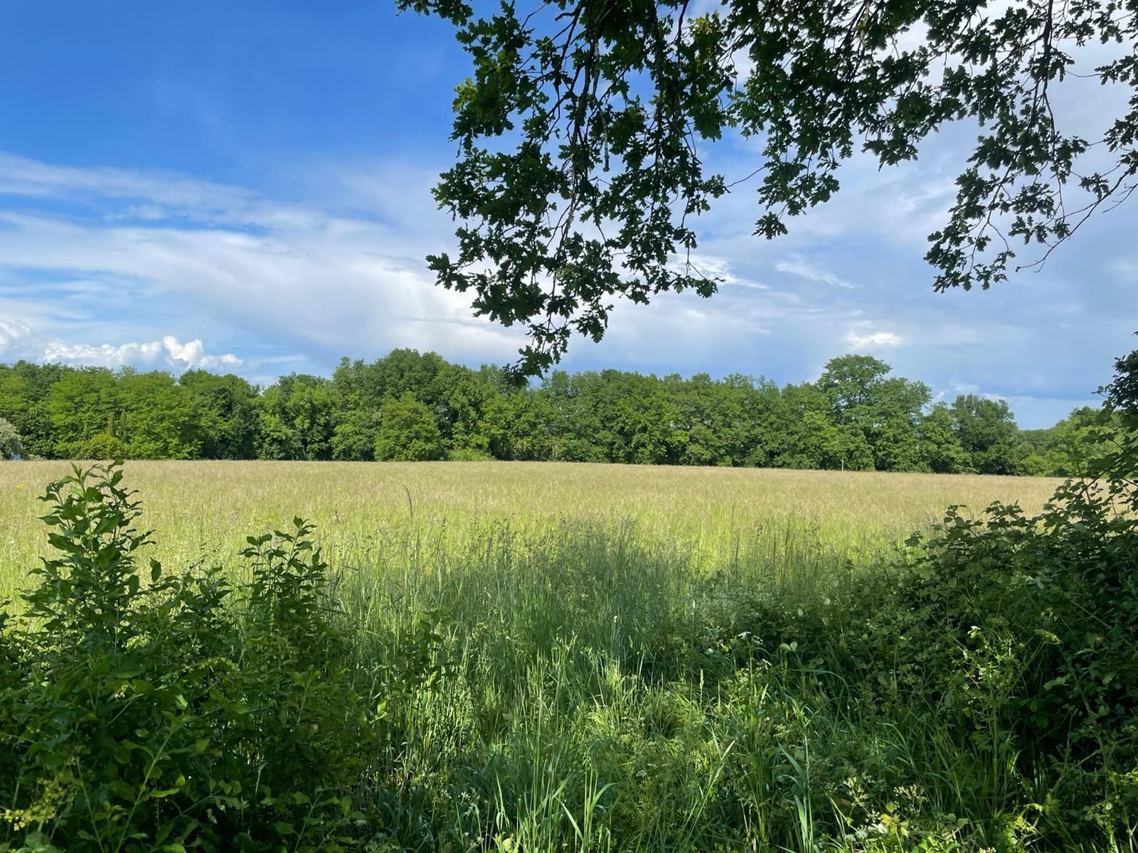 Terrain à bâtir de 1017 m² à LUDON-MEDOC (33)