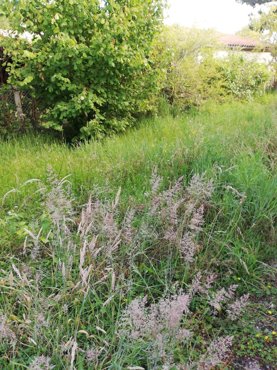 Terrain à bâtir de 590 m² à BORDEAUX (33)