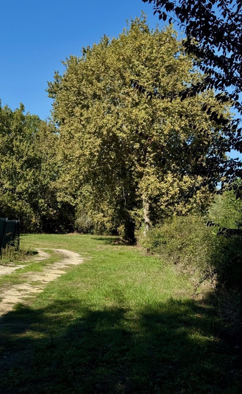 Terrain à bâtir de 580 m² à MOULIS-EN-MEDOC (33) - visuel 1