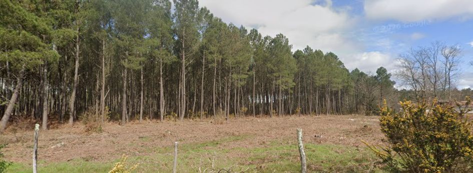 Terrain à bâtir de 634 m² à BRACH (33) - visuel 1