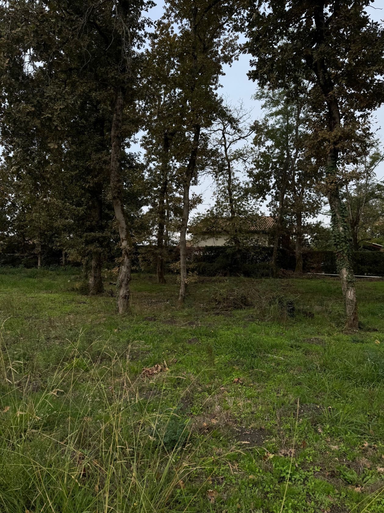 Projet de construction d'une maison 90 m² avec terrain à VERTHEUIL (33) - visuel 7