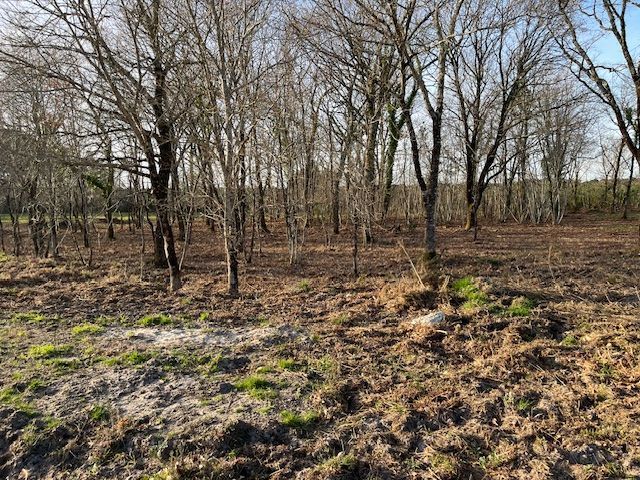 Terrain à bâtir de 600 m² à AUDENGE (33)