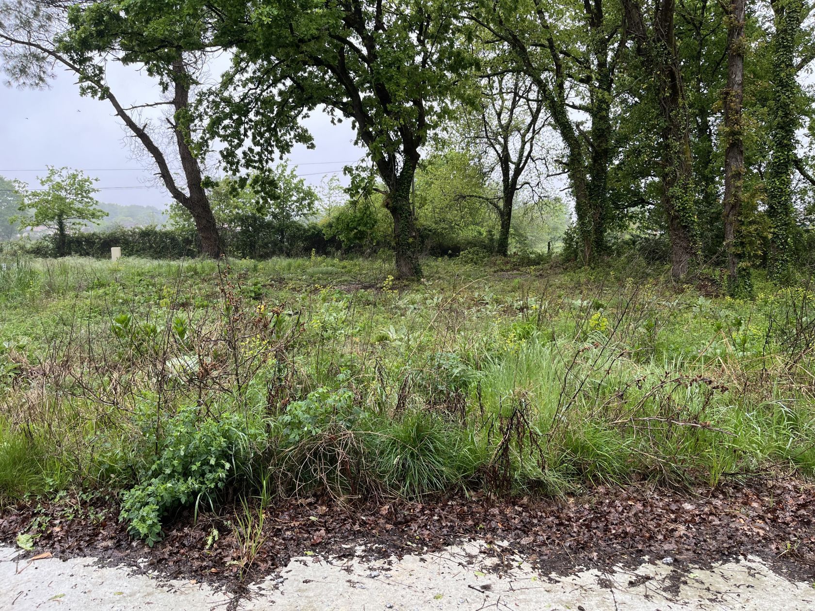 Terrain à bâtir de 488 m² à LE TEICH (33)