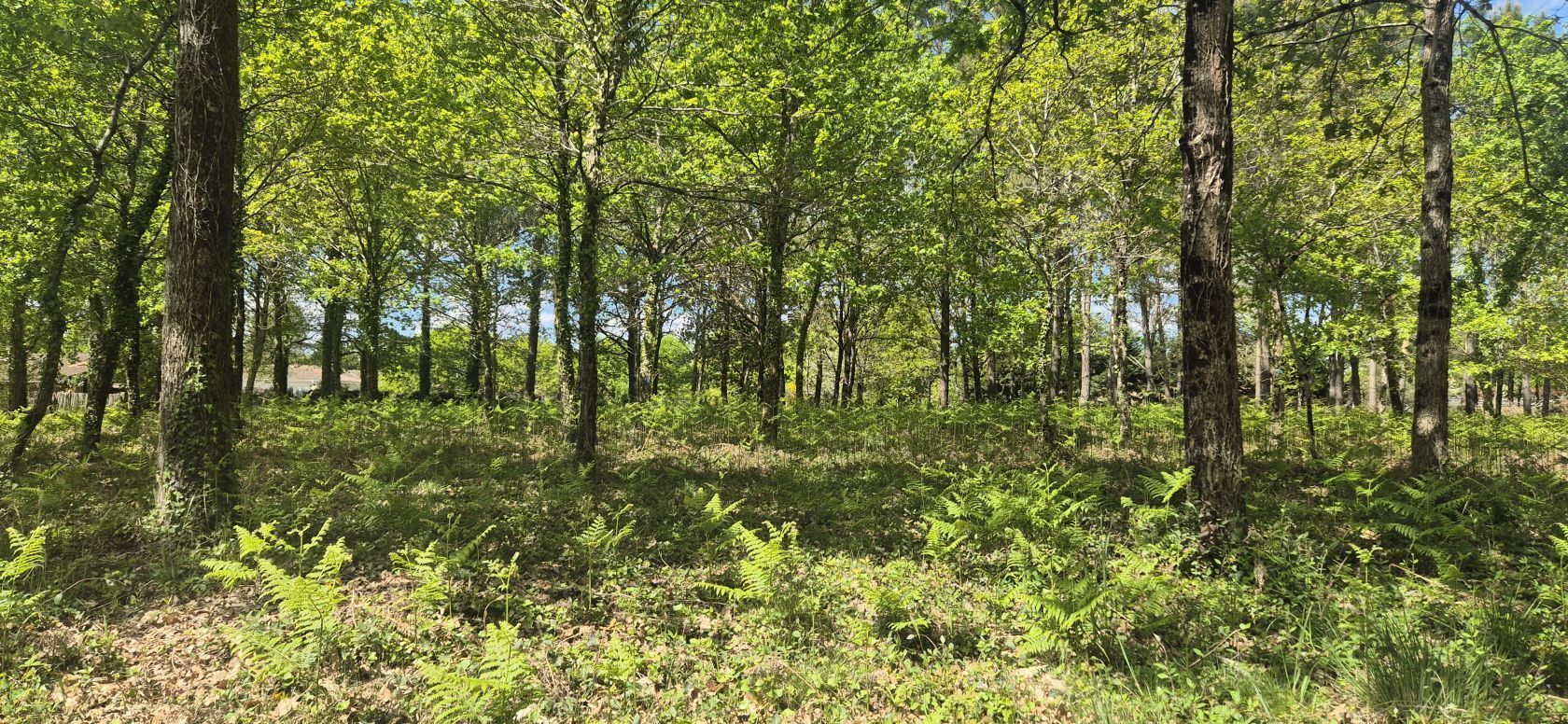 Terrain à bâtir de 472 m² à BELIN-BELIET (33)