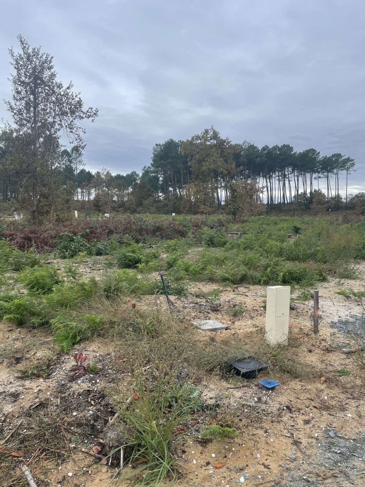 Terrain à bâtir de 500 m² à SALLES (33)