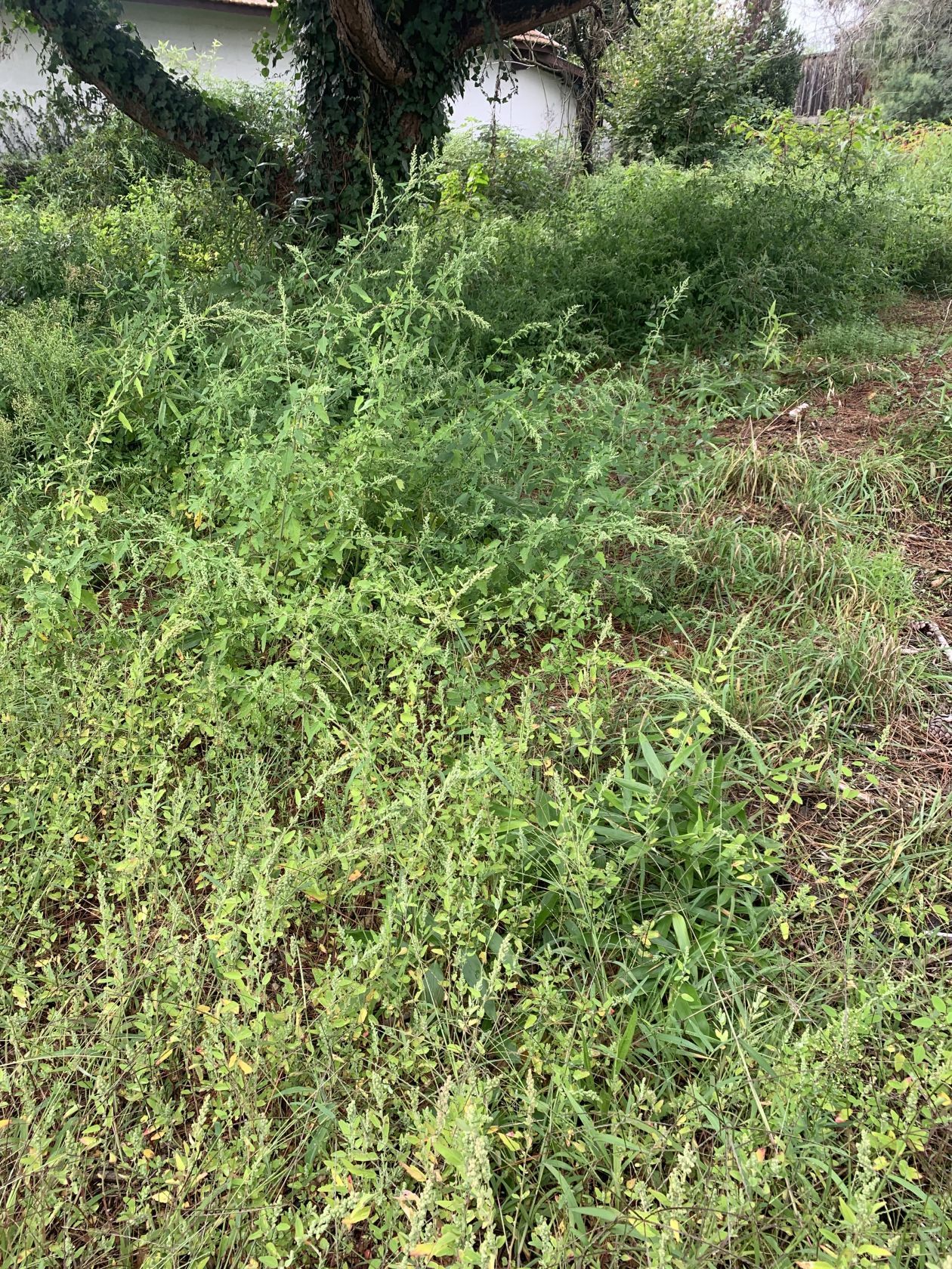 Terrain à bâtir de 830 m² à GUJAN-MESTRAS (33)
