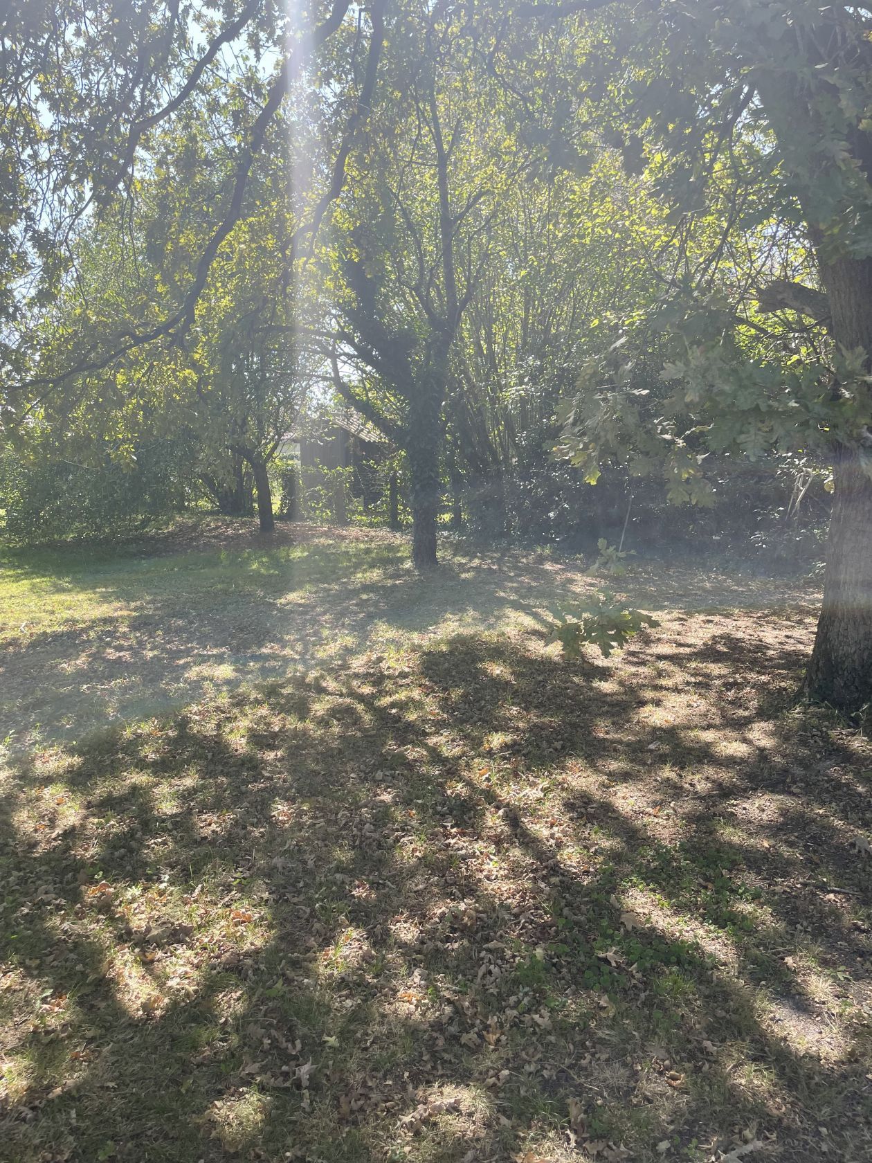 Terrain à bâtir de 600 m² à BIGANOS (33)