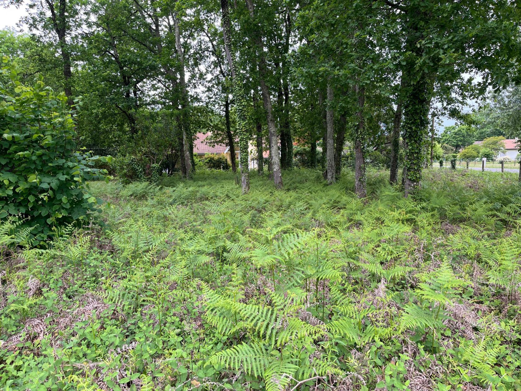 Projet de construction d'une maison 85 m² avec terrain à ANDERNOS-LES-BAINS (33) - visuel 5