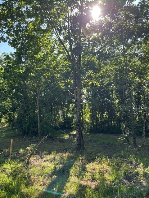 Projet de construction d'une maison 90 m² avec terrain à LANTON (33) - visuel 5