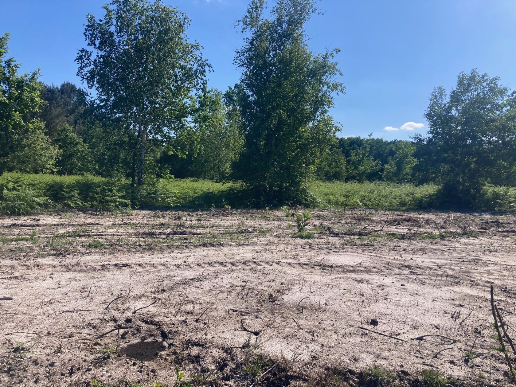 Terrain à bâtir de 730 m² à LABOUHEYRE (40)