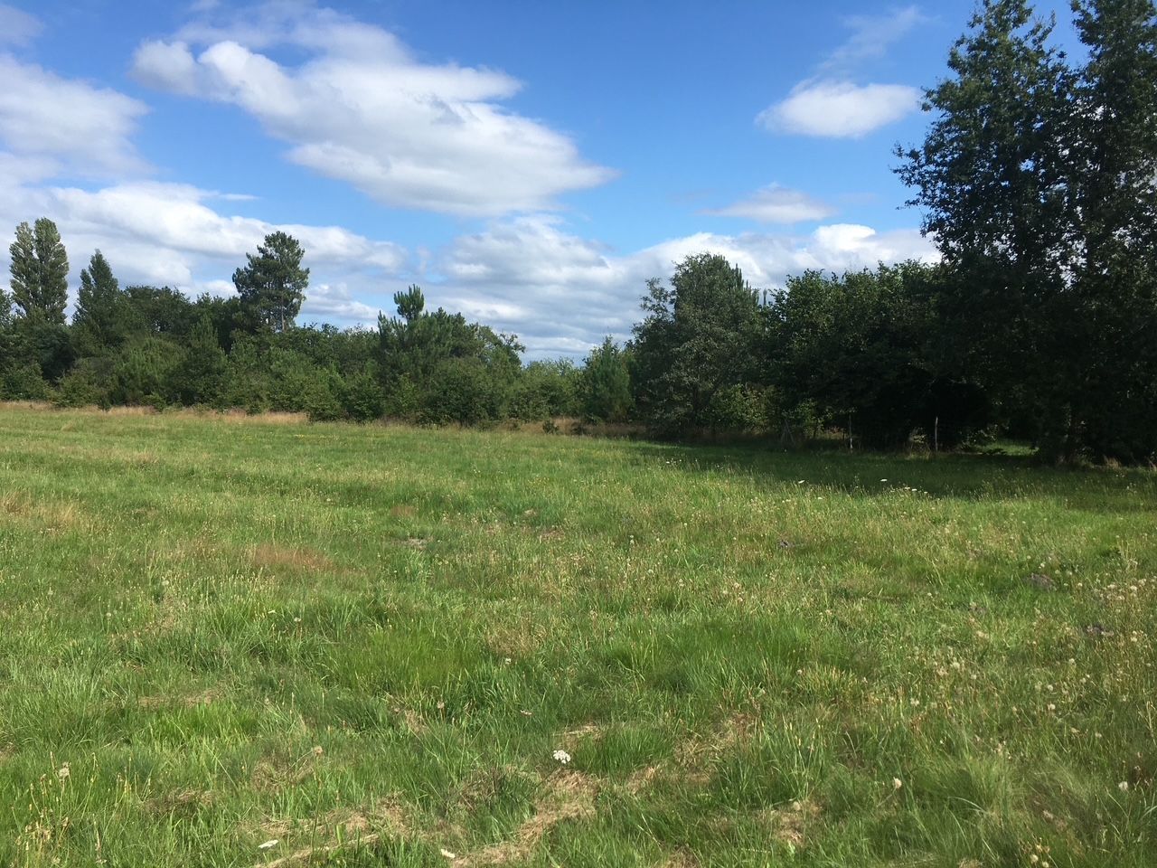 Terrain à bâtir de 488 m² à BISCARROSSE (40)