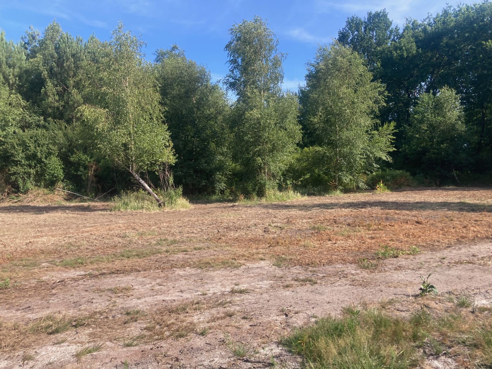 Terrain à bâtir de 628 m² à BISCARROSSE (40)