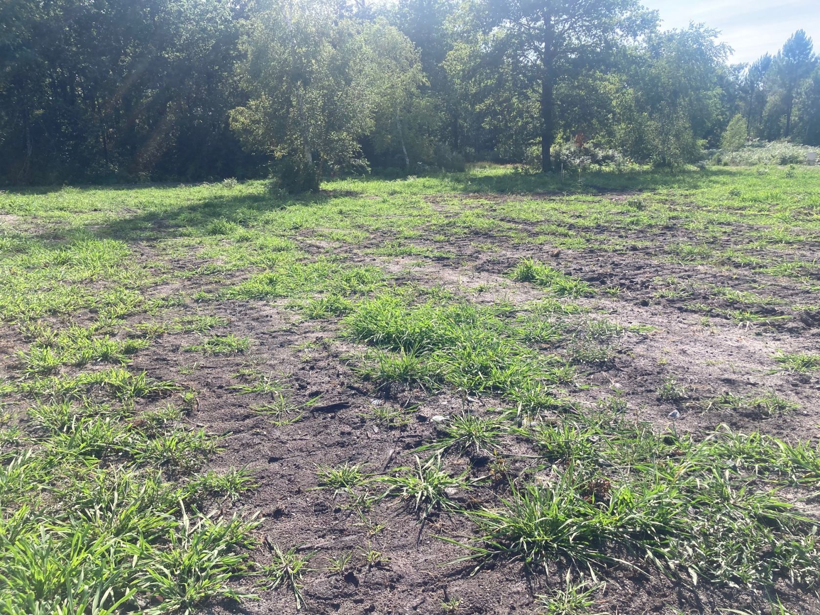 Terrain à bâtir de 830 m² à SALLES (33)