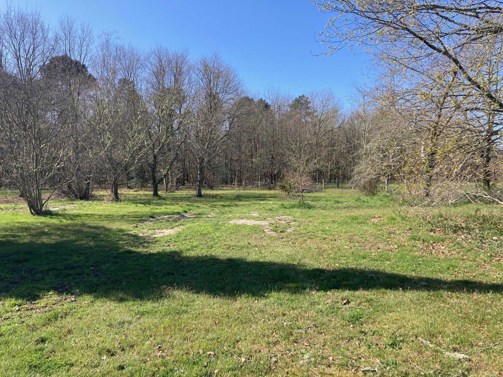 Terrain à bâtir de 610 m² à BISCARROSSE (40)