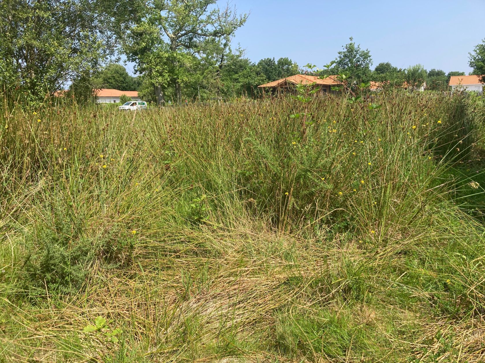 Terrain à bâtir de 680 m² à LUGOS (33) - visuel 1