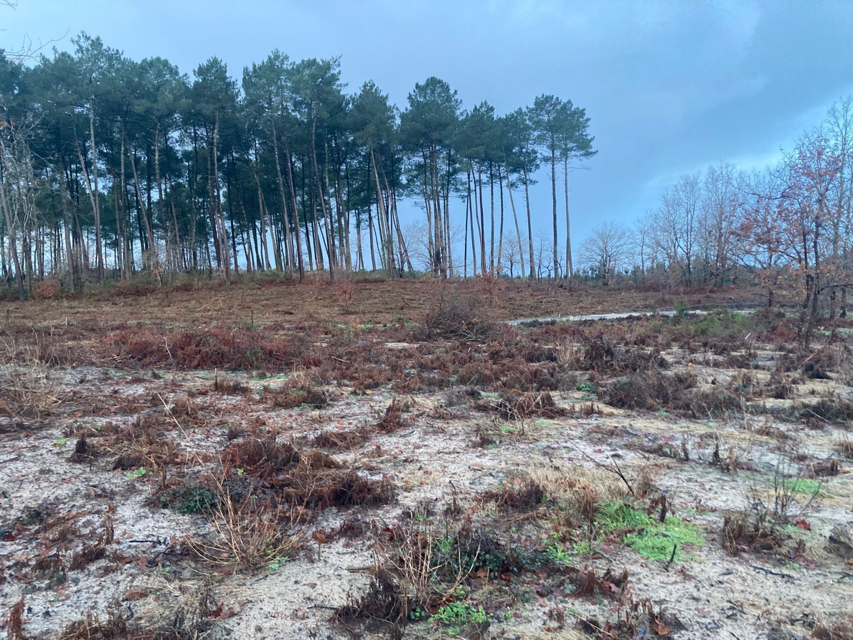 Terrain à bâtir de 375 m² à GASTES (40)