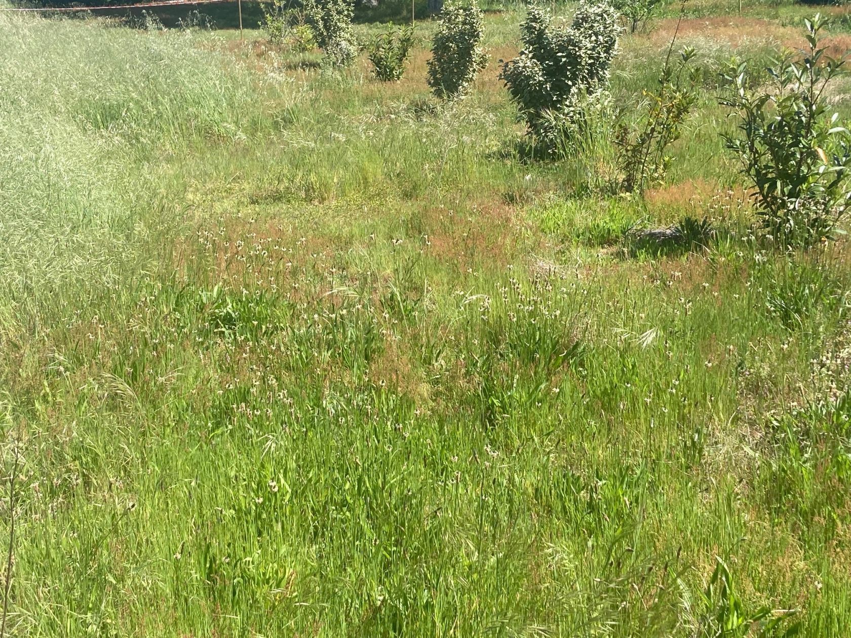 Terrain à bâtir de 400 m² à HOSTENS (33)
