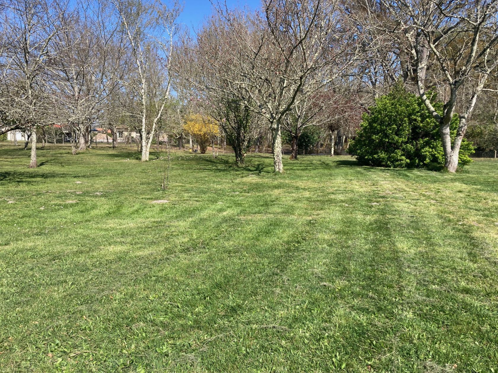 Terrain à bâtir de 1500 m² à BELIN-BELIET (33)