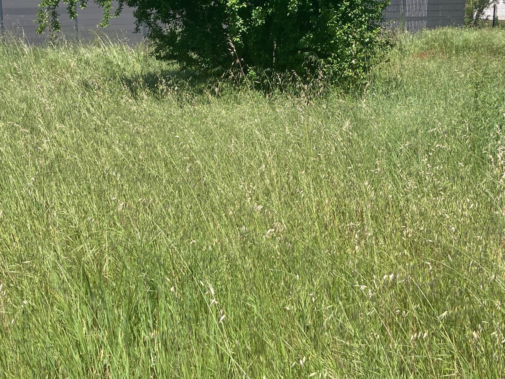 Terrain à bâtir de 590 m² à PONTENX-LES-FORGES (40)