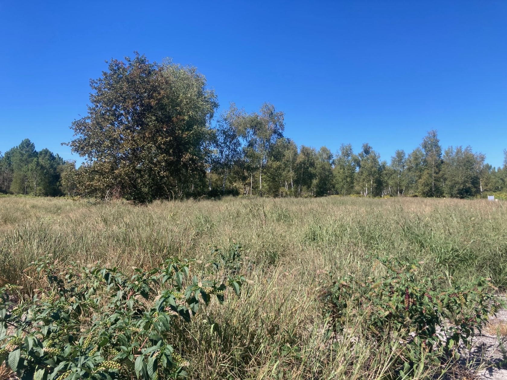 Projet de construction d'une maison 95 m² avec terrain à SALLES (33) - visuel 7