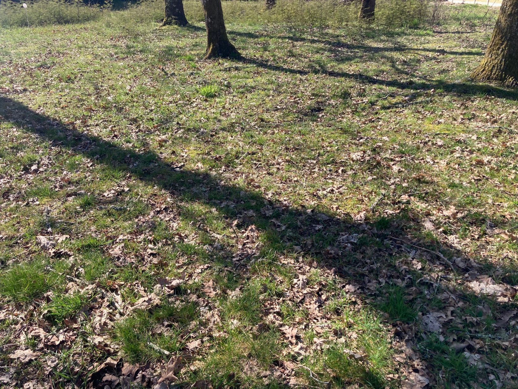 Projet de construction d'une maison 130 m² avec terrain à SALLES (33) - visuel 6