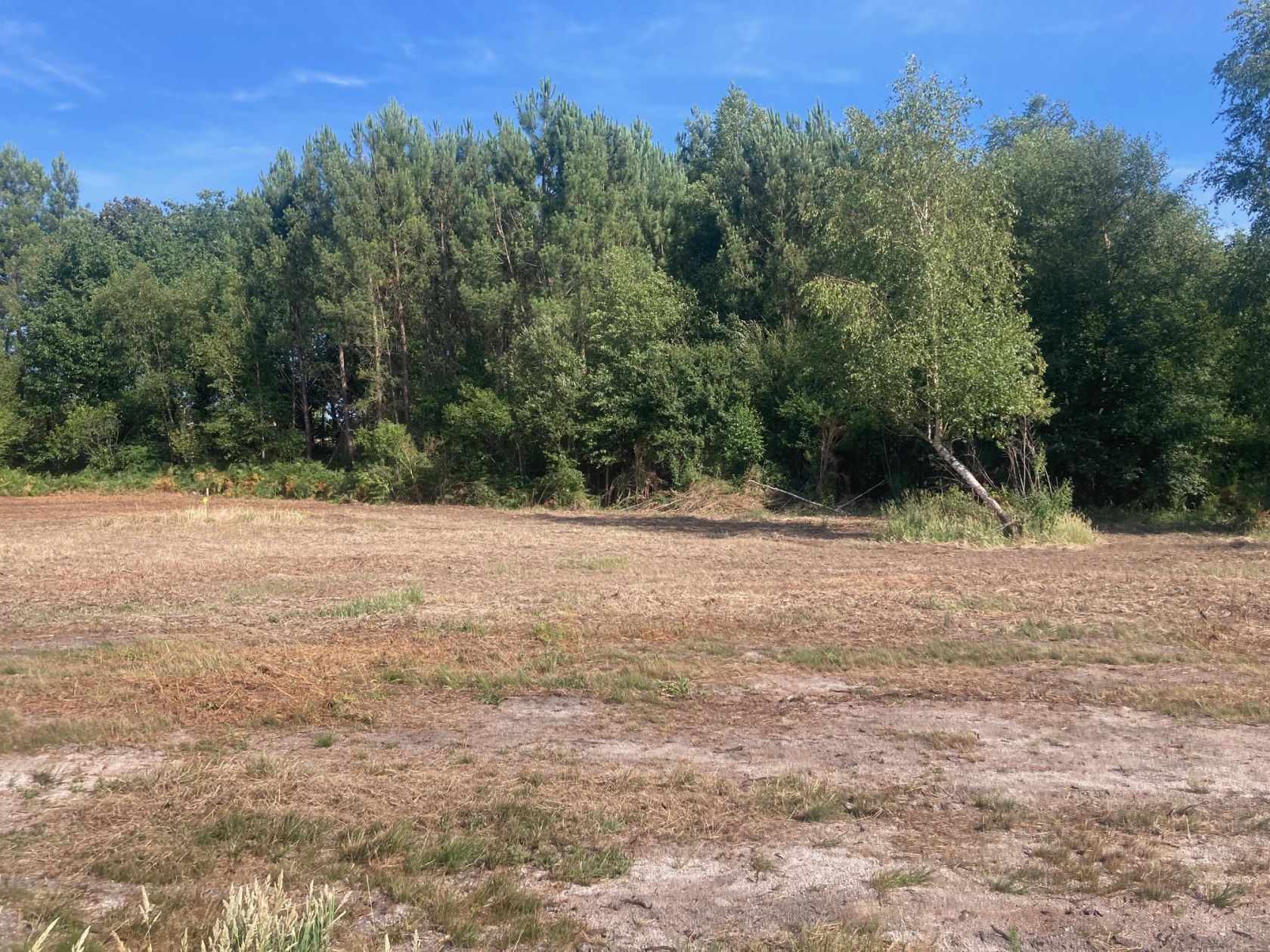 Projet de construction d'une maison 90 m² avec terrain à BISCARROSSE (40) - visuel 7