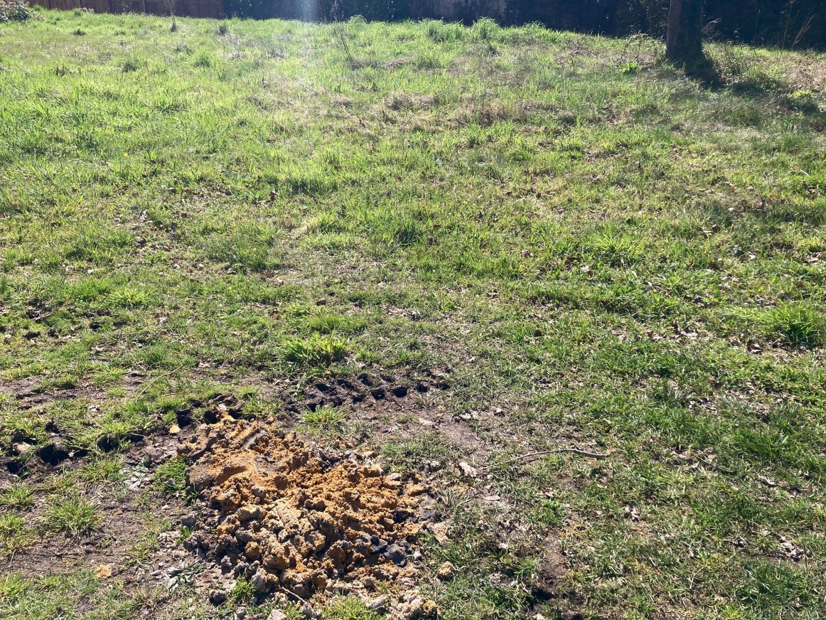 Projet de construction d'une maison 80 m² avec terrain à BELIN-BELIET (33) - visuel 7