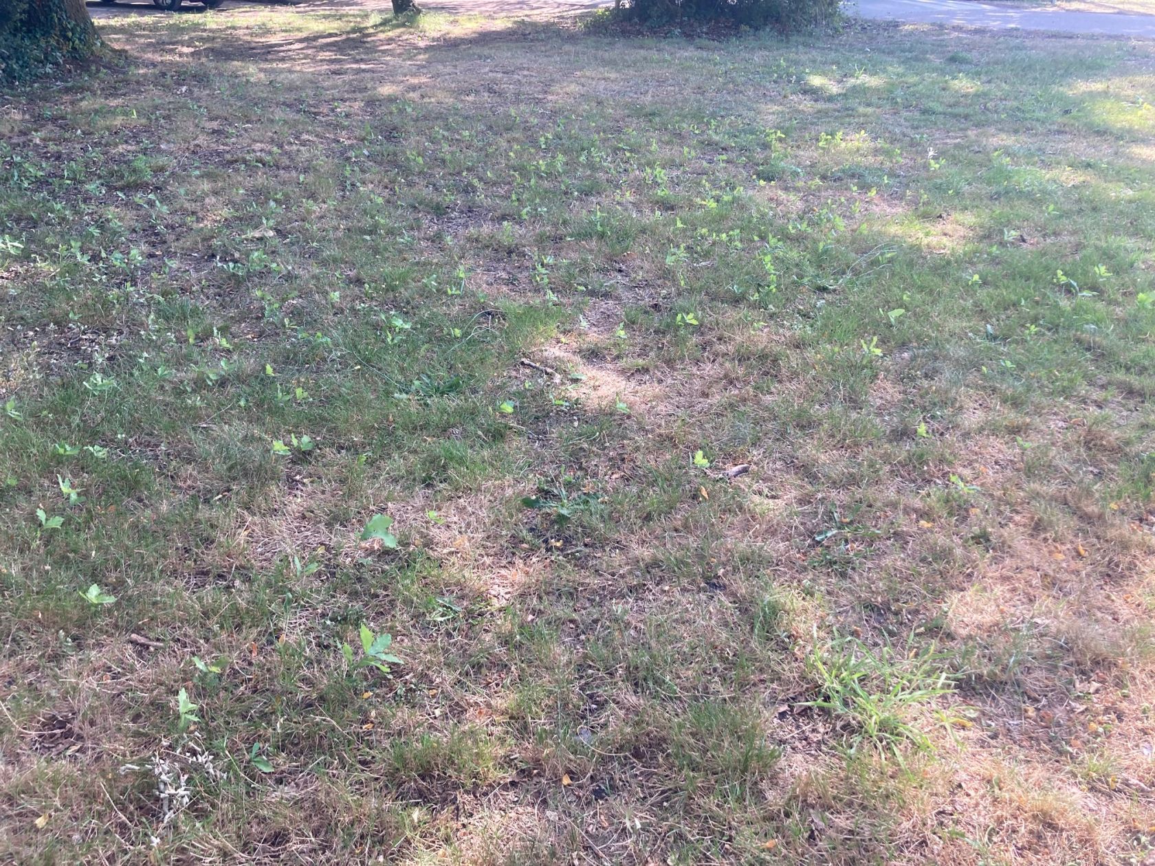 Projet de construction d'une maison 100 m² avec terrain à SALLES (33) - visuel 5