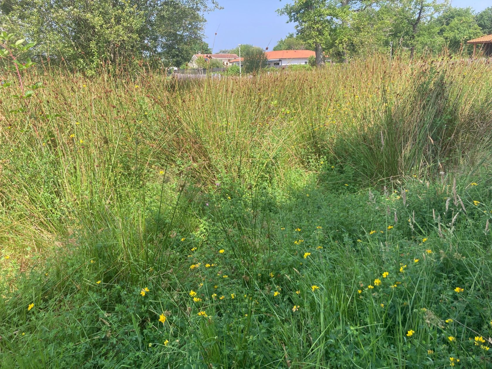 Projet de construction d'une maison 116 m² avec terrain à BISCARROSSE (40) - visuel 6