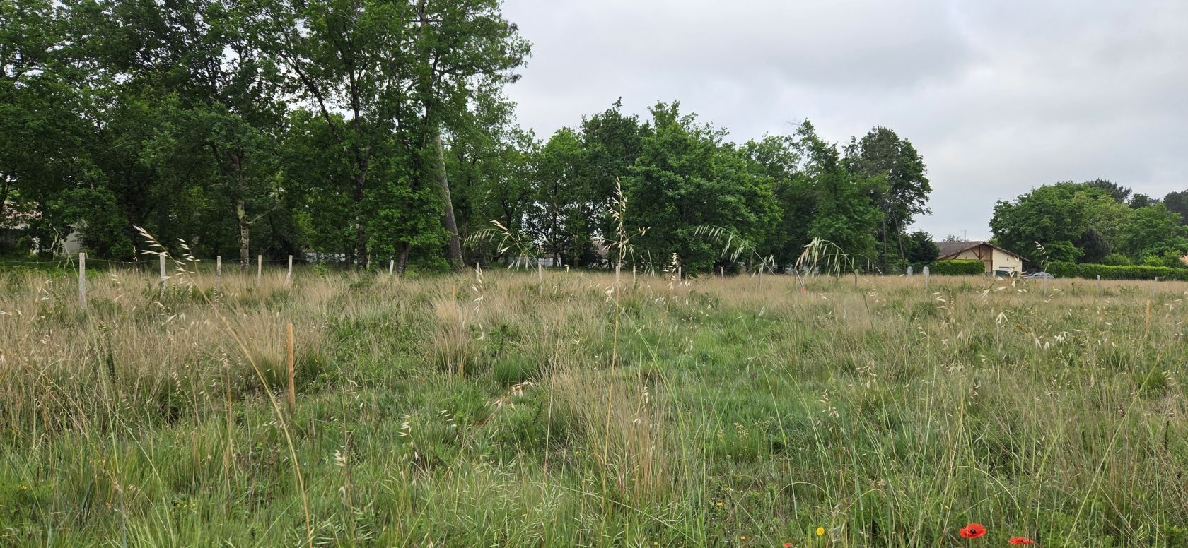 Terrain à bâtir de 520 m² à PARENTIS-EN-BORN (40)