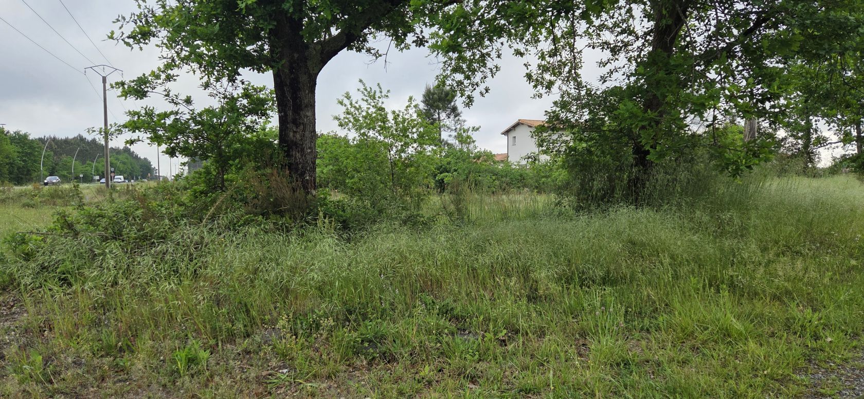 Terrain à bâtir de 1400 m² à PARENTIS-EN-BORN (40) - visuel 1