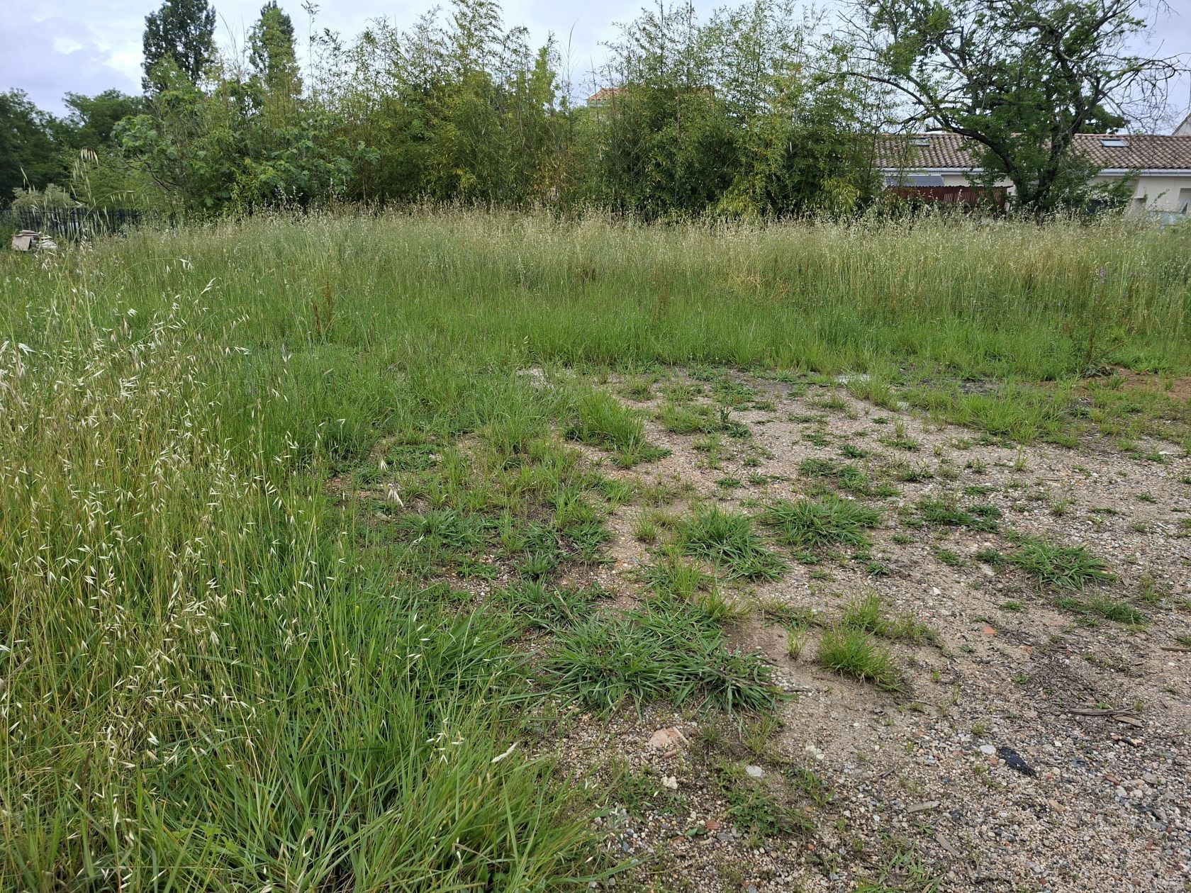 Terrain à bâtir de 450 m² à ABZAC (33)