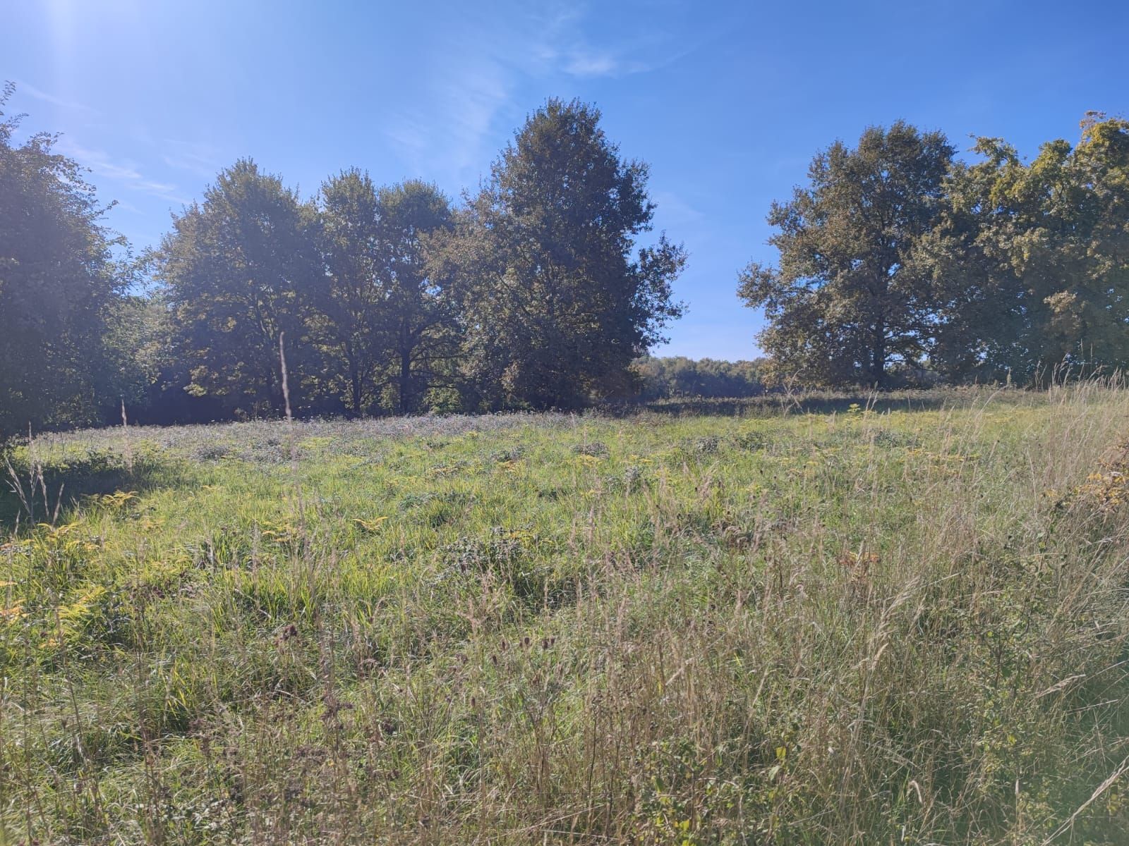 Terrain à bâtir de 1480 m² à TABANAC (33)