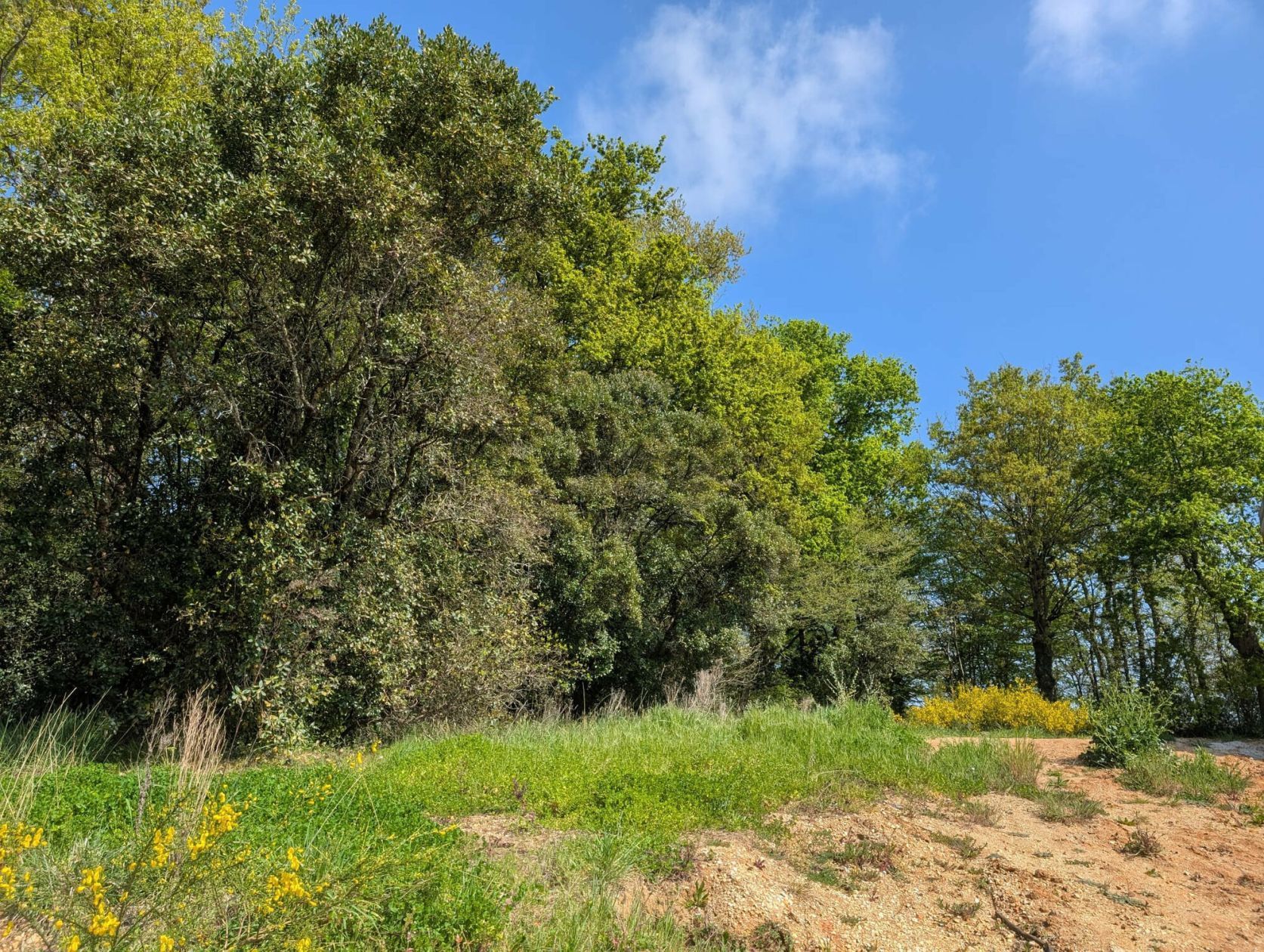 Terrain à bâtir de 500 m² à LOUPES (33)