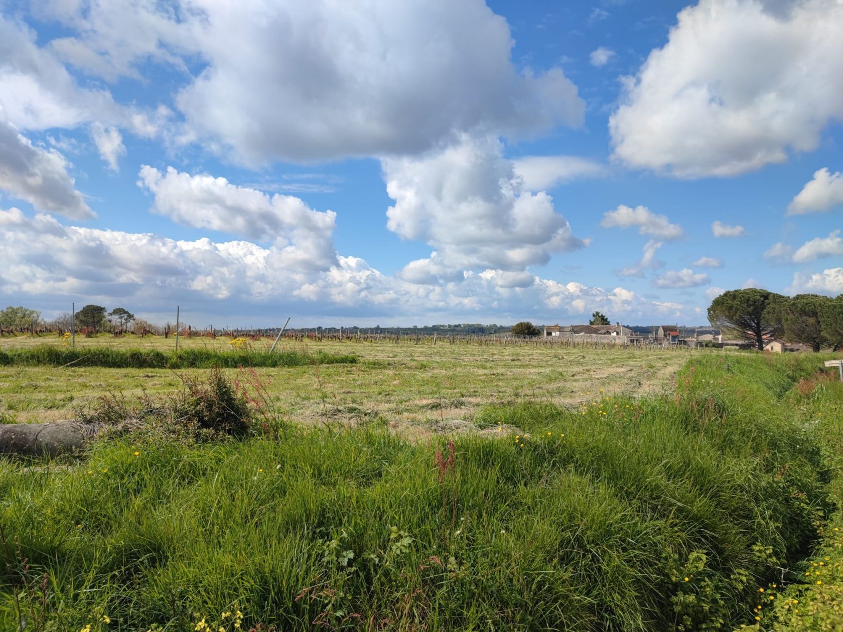 Terrain à bâtir de 800 m² à SEMENS (33) - visuel 1
