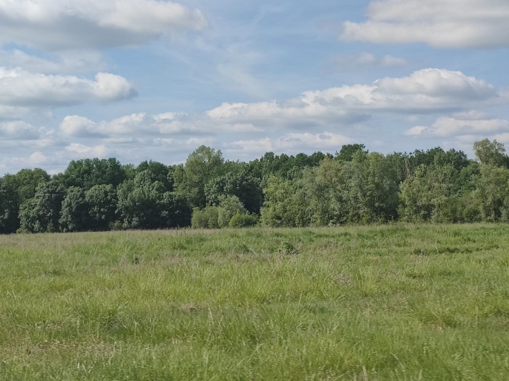 Terrain à bâtir de 1020 m² à BLASIMON (33)