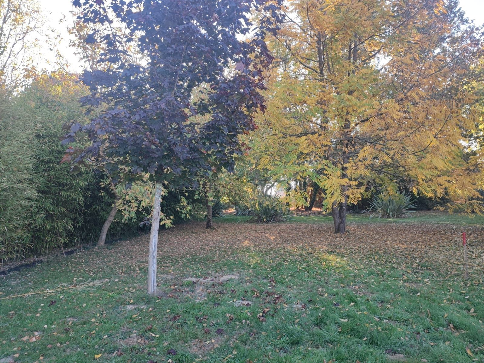 Terrain à bâtir de 500 m² à PORTETS (33)