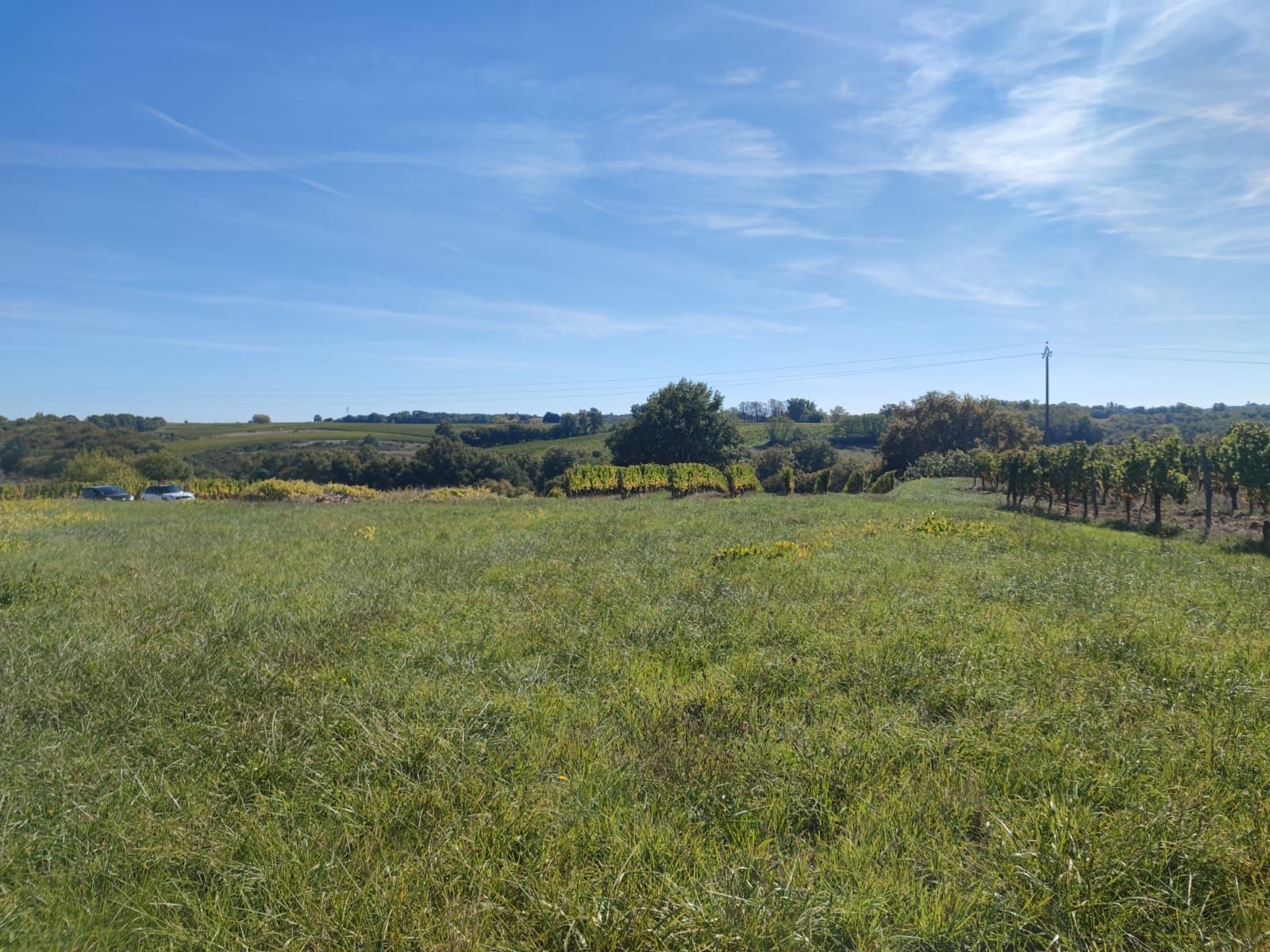 Terrain à bâtir de 560 m² à CAPIAN (33)