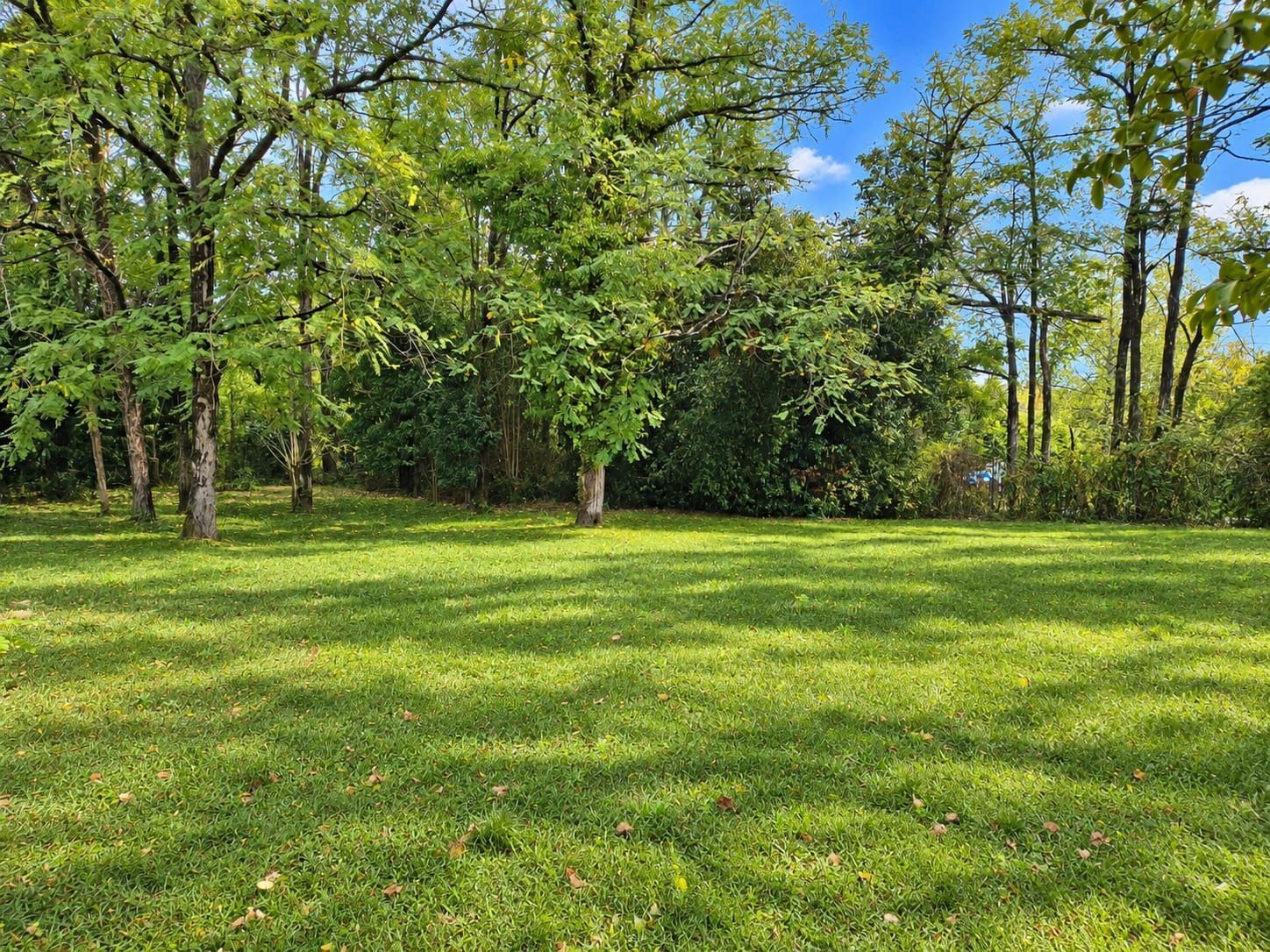 Terrain à bâtir de 950 m² à LANGOIRAN (33) - visuel 1