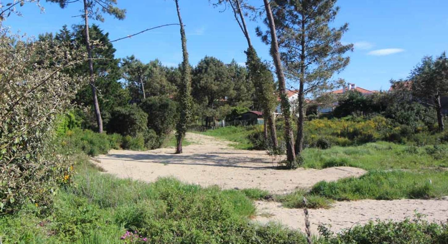 Projet de construction d'une maison 90 m² avec terrain à ARTIGUES-PRES-BORDEAUX (33) - visuel 7