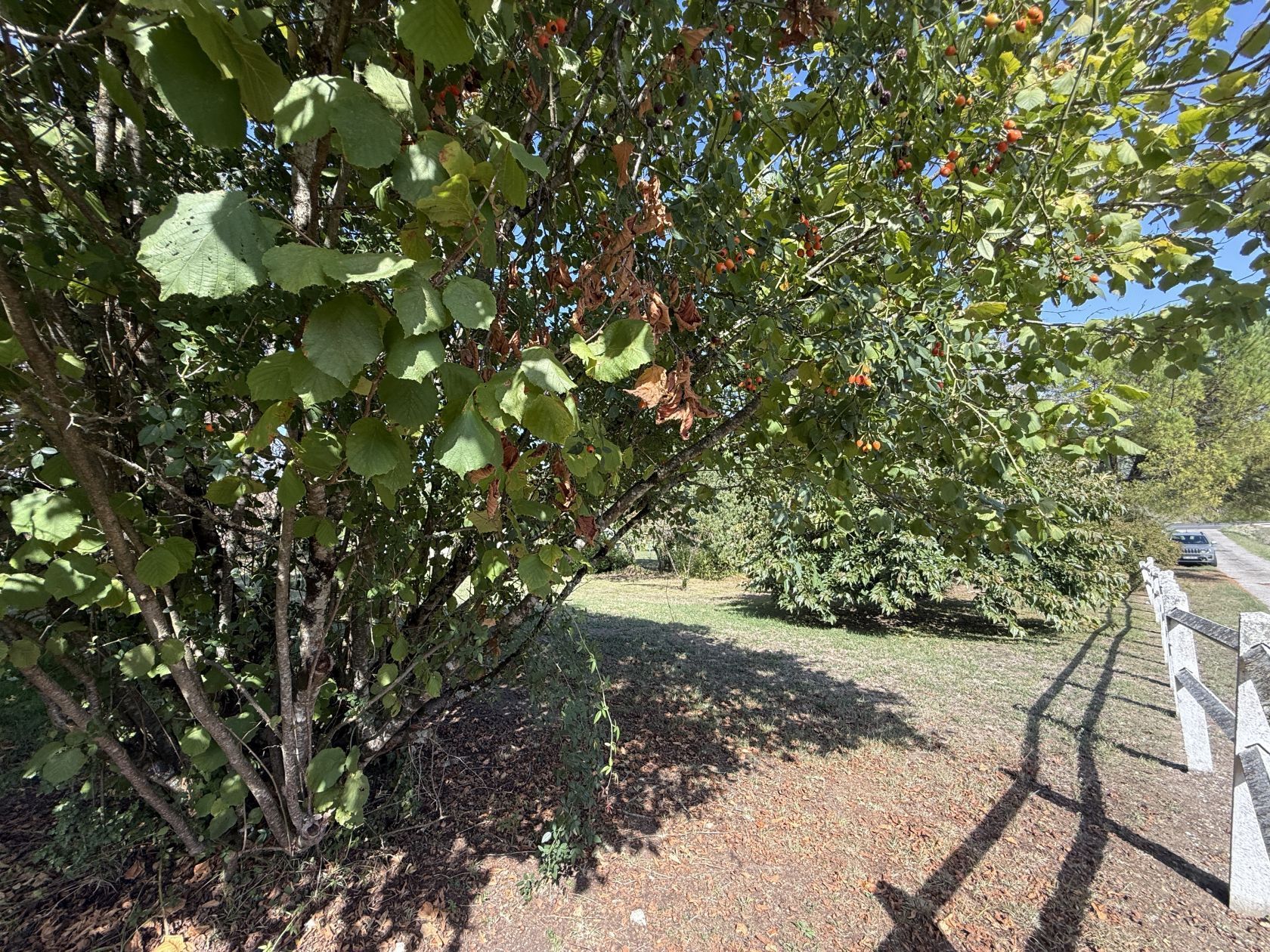 Terrain à bâtir de 750 m² à LIBOURNE (33) - visuel 2