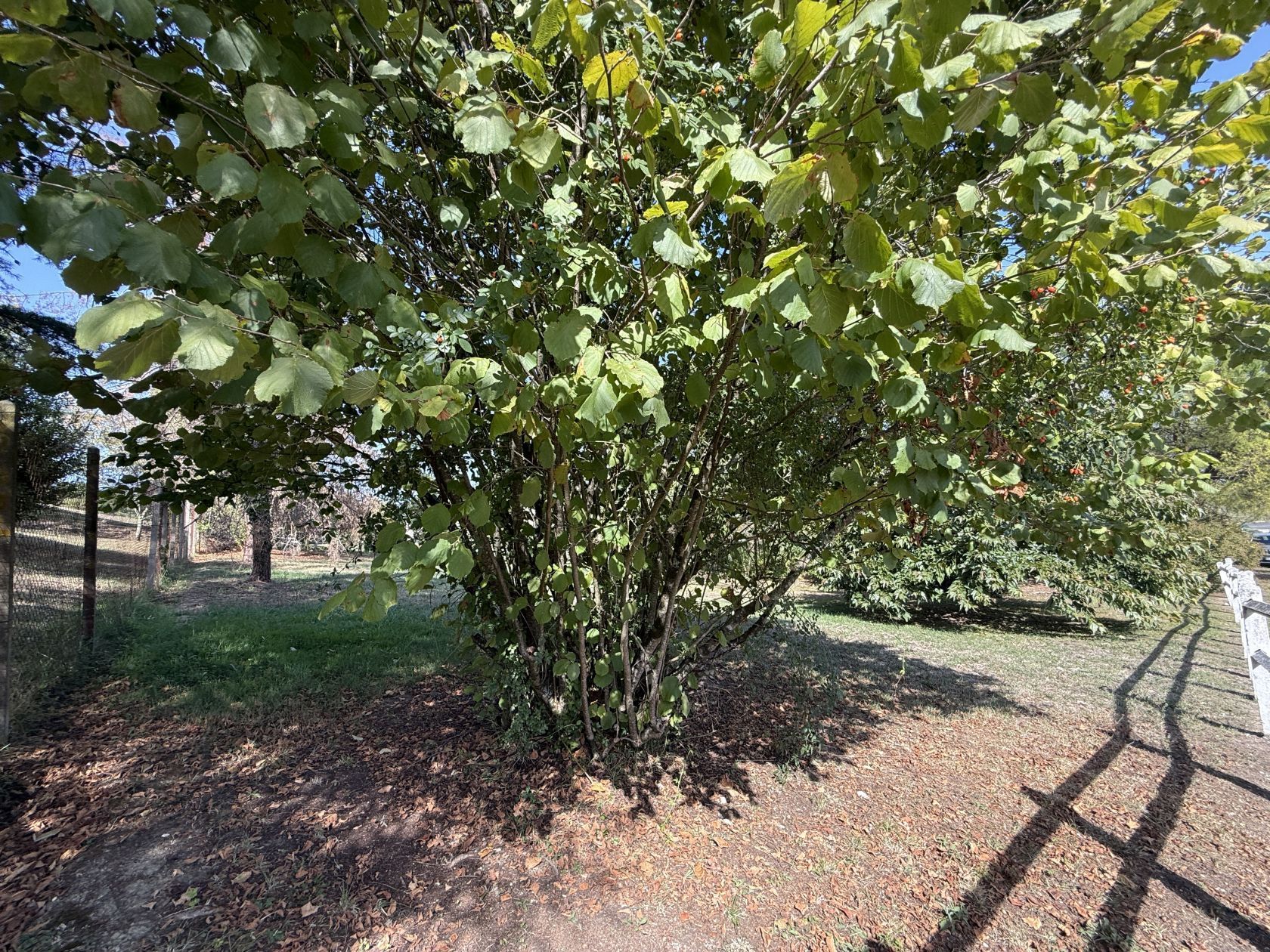 Terrain à bâtir de 750 m² à LIBOURNE (33) - visuel 3