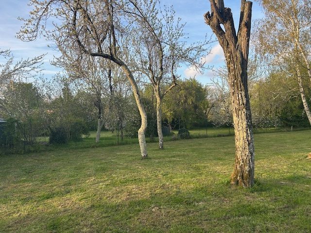 Terrain à bâtir de 660 m² à MARTILLAC (33) - visuel 4
