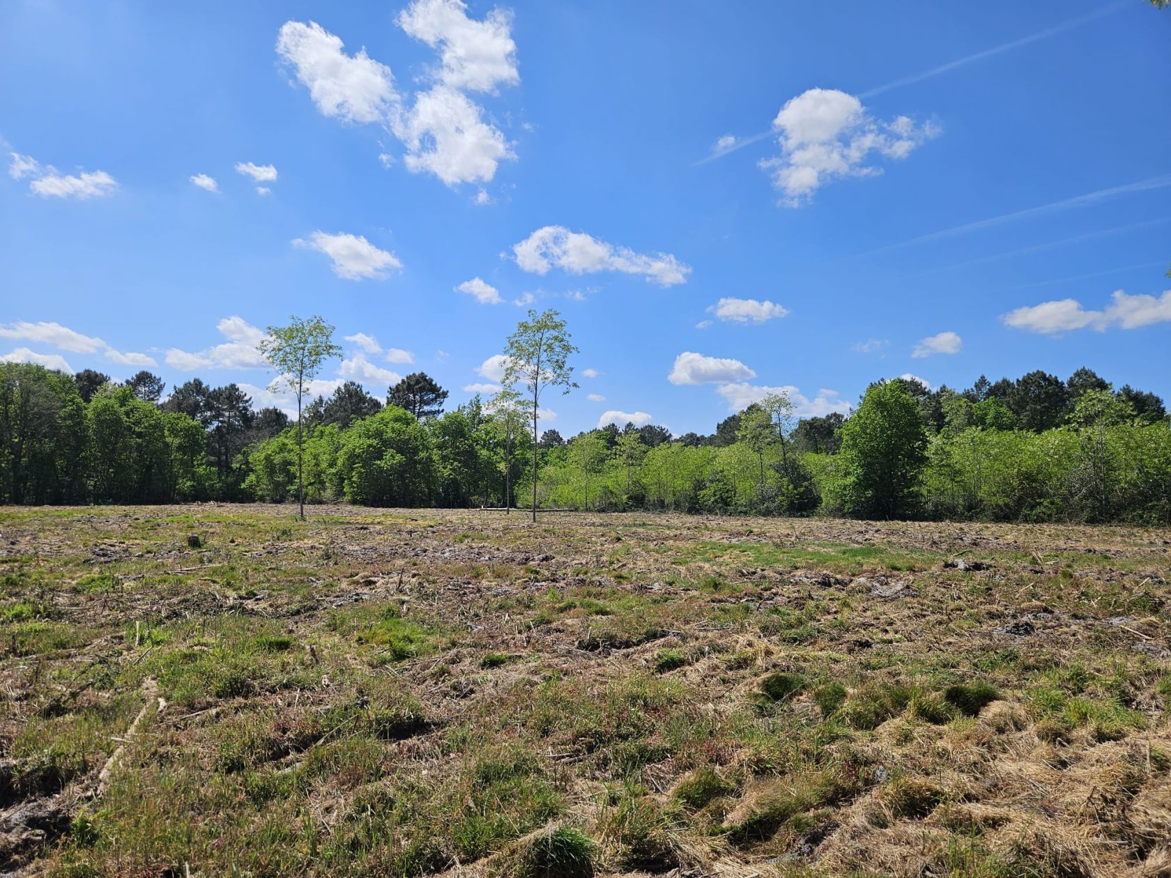 Terrain à bâtir de 650 m² à CADAUJAC (33) - visuel 2