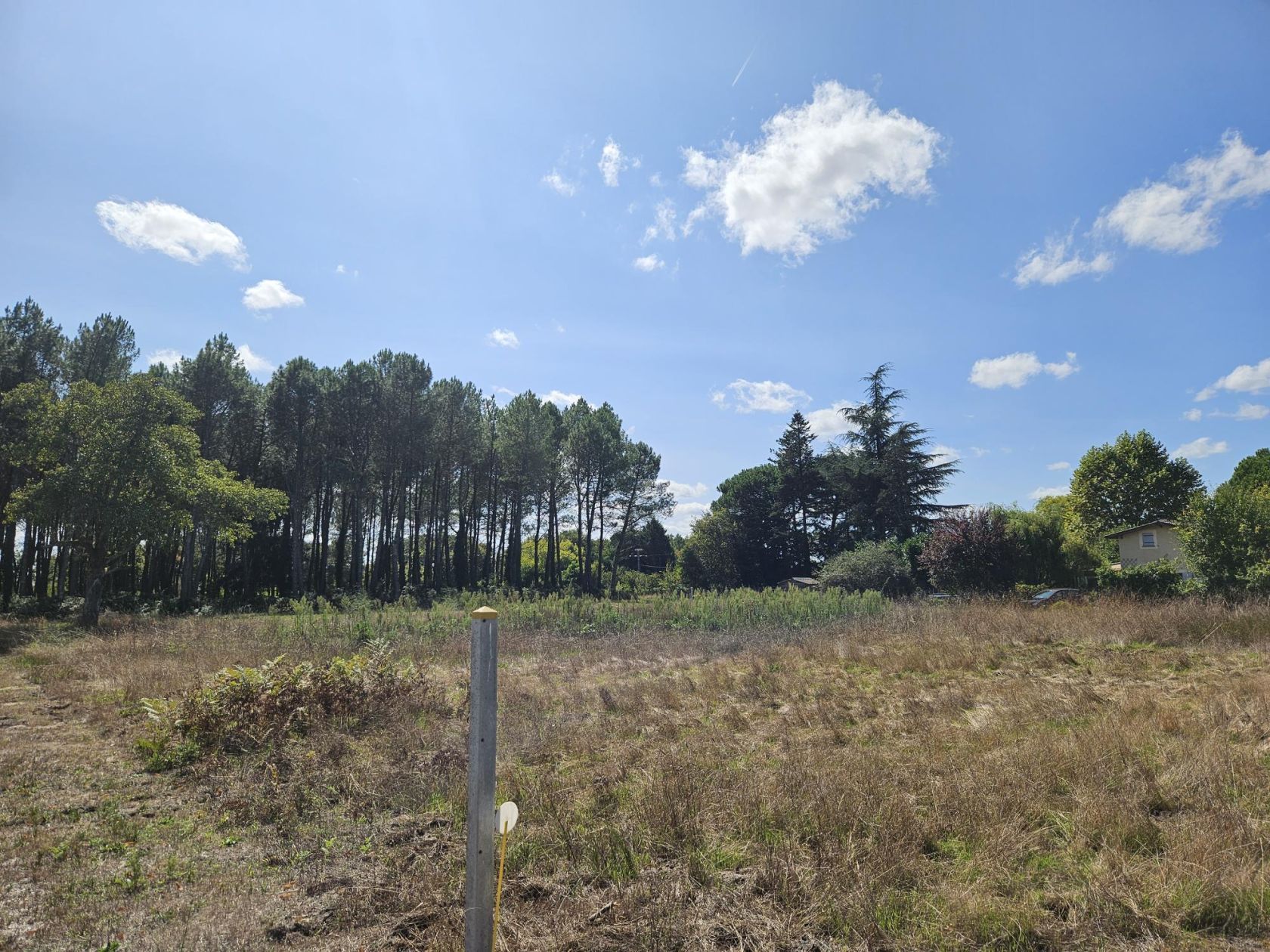 Terrain à bâtir de 1600 m² à UZESTE (33) - visuel 3