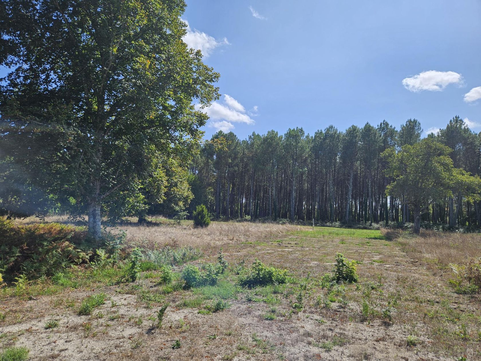 Terrain à bâtir de 1600 m² à UZESTE (33) - visuel 4