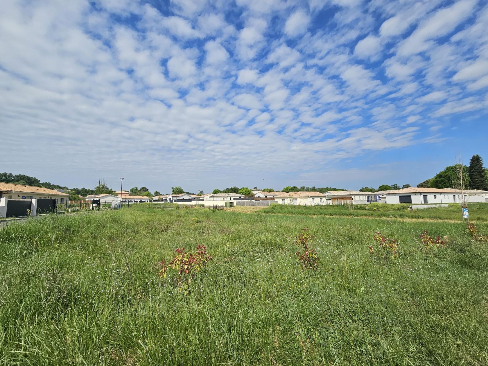 Terrain à bâtir de 298 m² à CASTRES-GIRONDE (33) - visuel 3